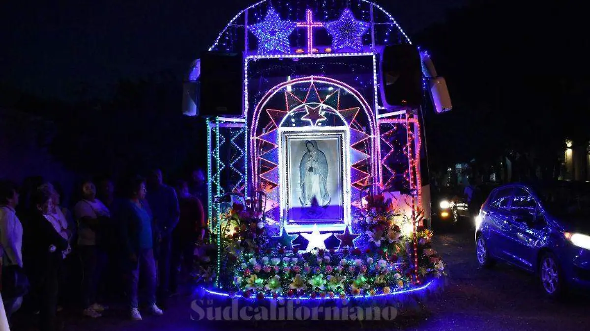 Peregrinación águila